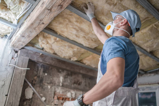 Types of Insulation We Offer in East St Louis, IL
