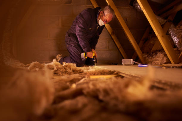 Professional Insulation Contractor in East St Louis, IL